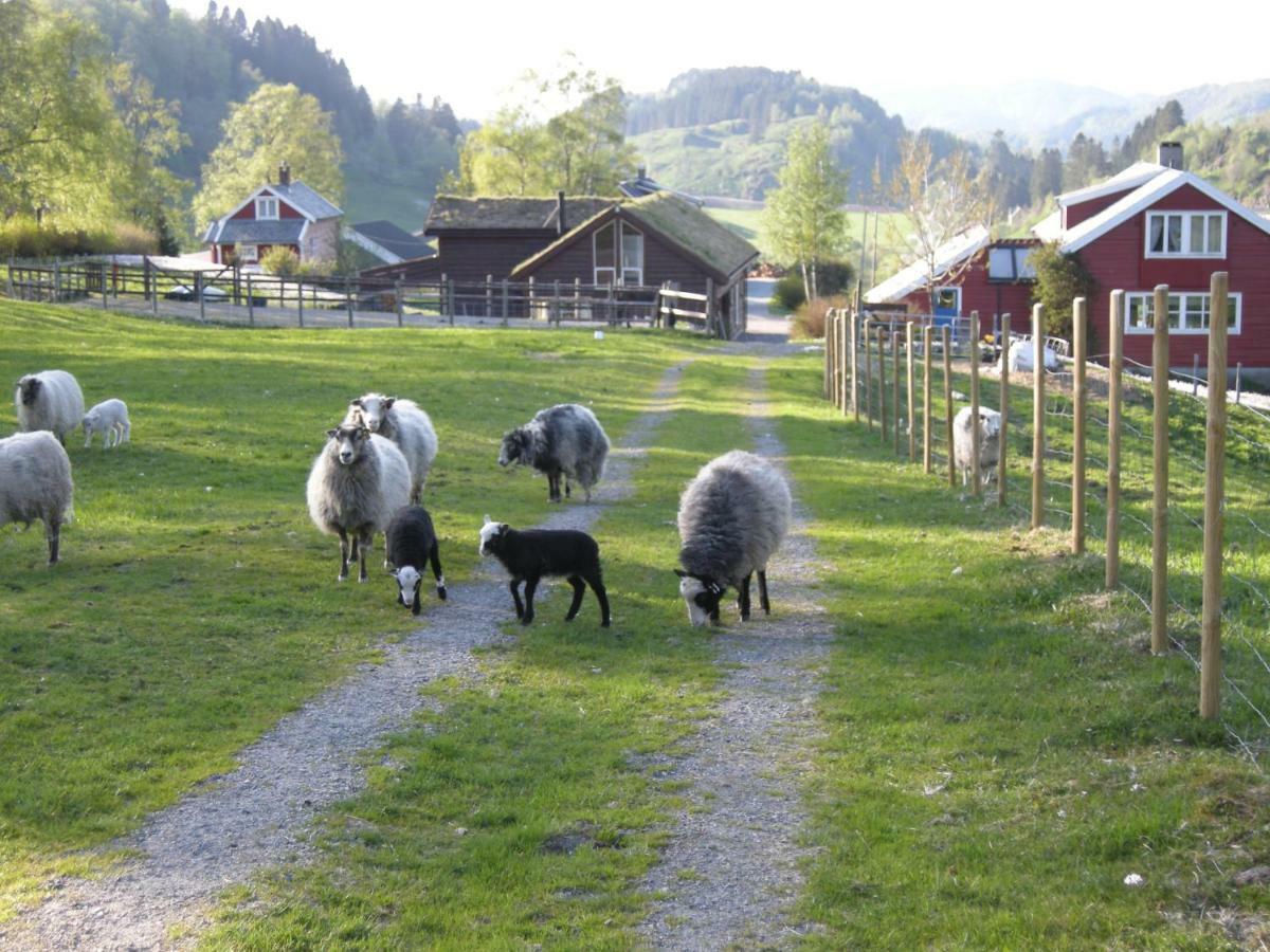 Skjerping Gard Villa Lonevåg Esterno foto